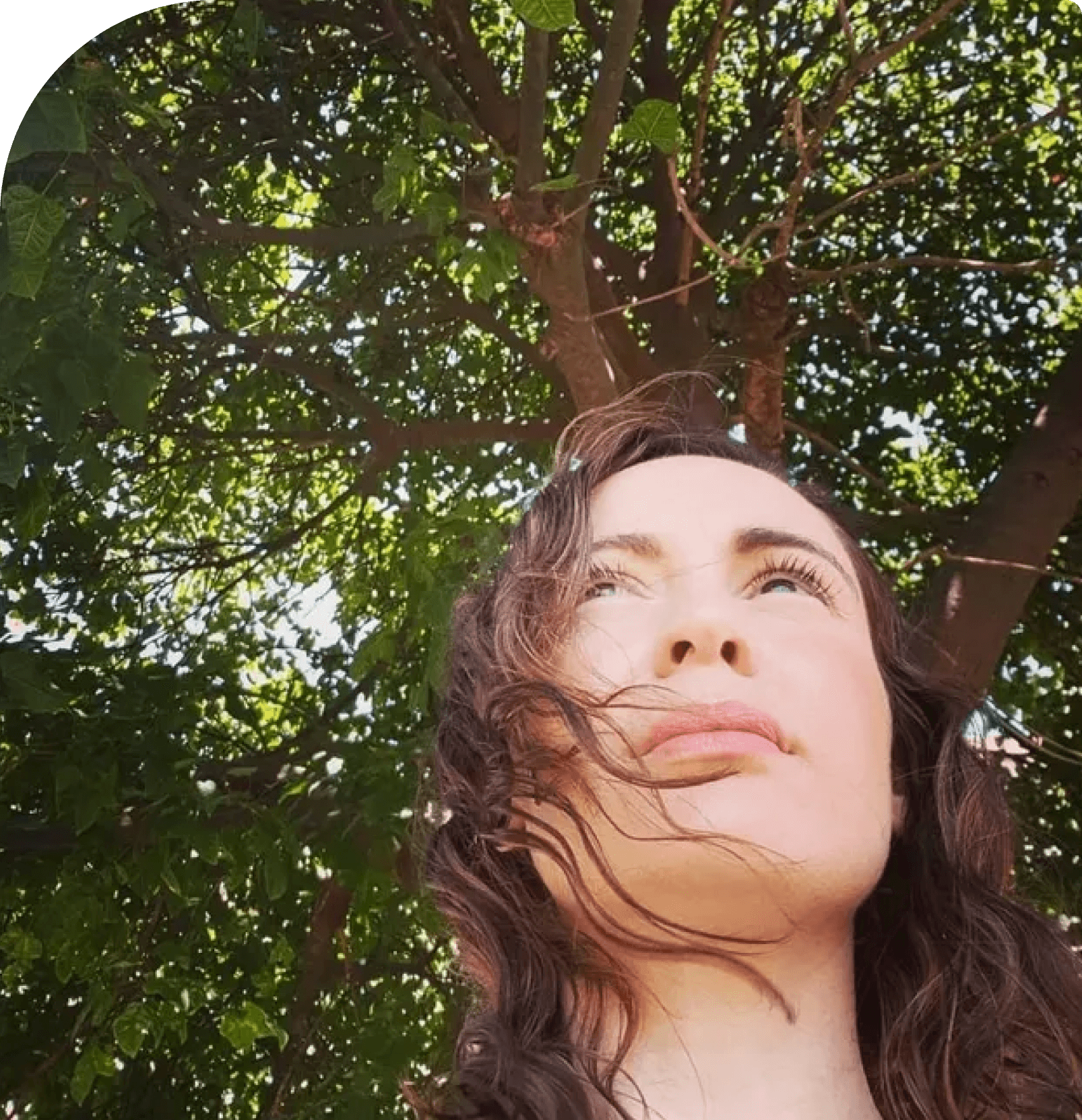 A woman stands under a tree with green leaves, sunlight filtering through the branches, evoking the tranquility of a wellness centre as she looks upward.